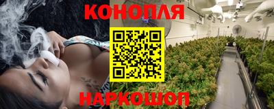 шишки Беслан