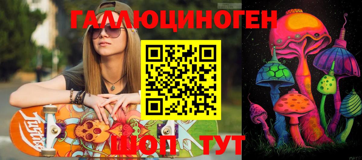 Галлюциногенные грибы Psilocybe Заволжье
