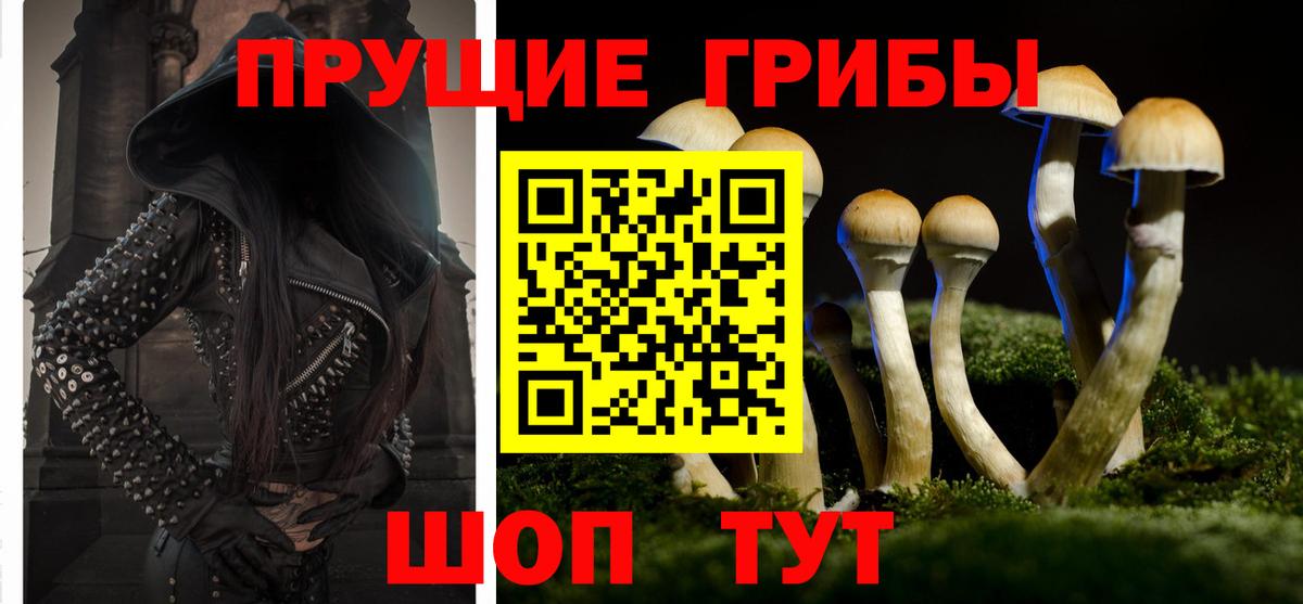 Галлюциногенные грибы ЛСД  Вход с VPN  Заволжье 
